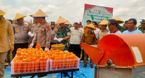 Hadiri Panen Raya Jagung Serentak Kuartal III, SKK Migas—PetroChina Mantapkan Dukungan Swasembada Pangan 2025